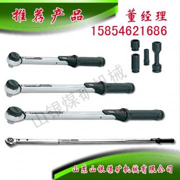 點(diǎn)擊查看詳細(xì)信息<br>標(biāo)題：顯示扭力扳手 閱讀次數(shù)：1616