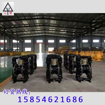 點(diǎn)擊查看詳細(xì)信息<br>標(biāo)題：隔膜泵_氣動隔膜泵_隔膜泵價格_隔膜泵 閱讀次數(shù)：1728
