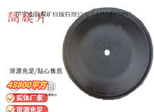 點擊查看詳細信息<br>標題：氣動隔膜泵配件-隔膜片 閱讀次數(shù)：162