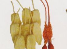 點(diǎn)擊查看詳細(xì)信息<br>標(biāo)題：取氣樣球膽 閱讀次數(shù)：58